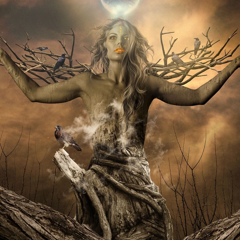 Tree Shaman Canvas Wall Art