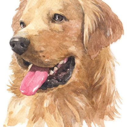 Golden Retriever Canvas Wall Art