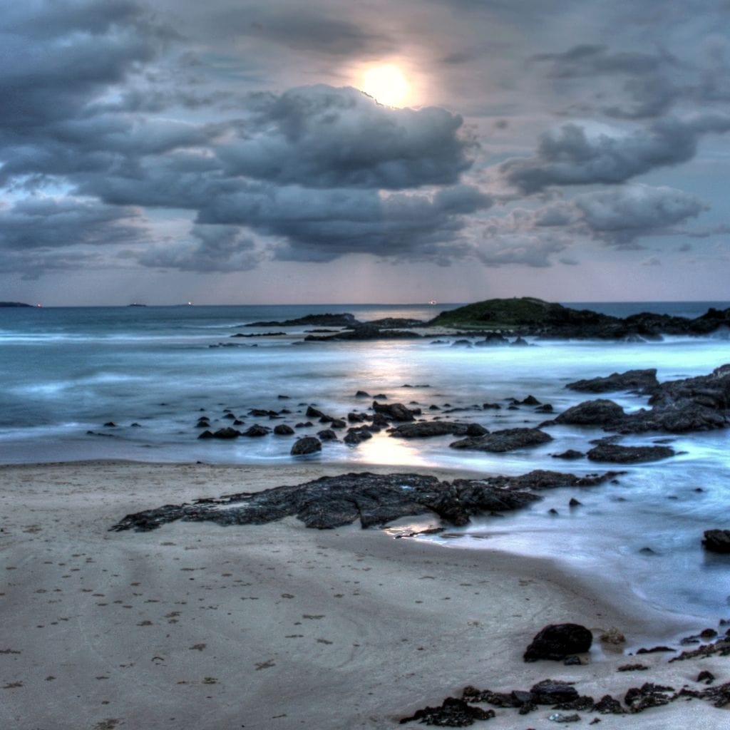 Midnight Moon Canvas Wall Art