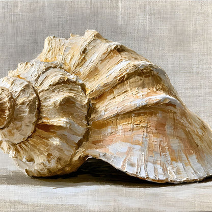 Tidal Rhythms of Coastal Shell Canvas Wall Art