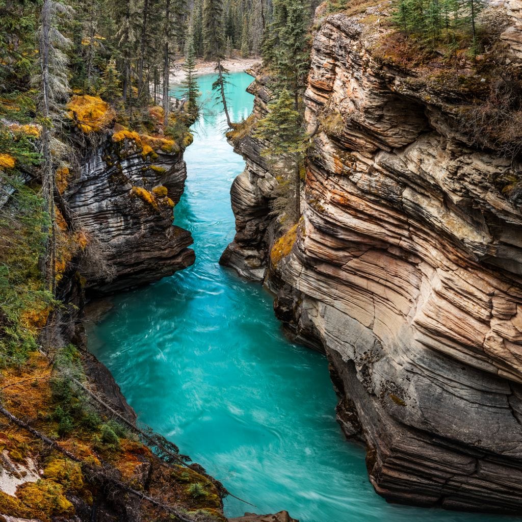 Athabasca Falls Canvas Wall Art