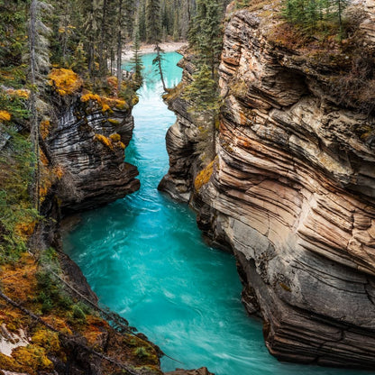 Athabasca Falls Canvas Wall Art
