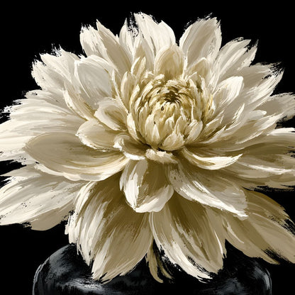 Pale Petals Held Against The Void Canvas Wall Art