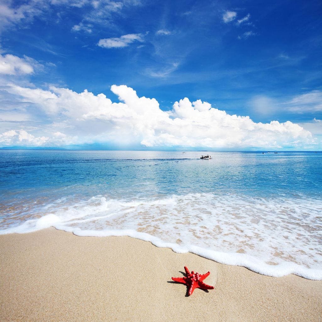 Caribbean Beach Canvas Wall Art