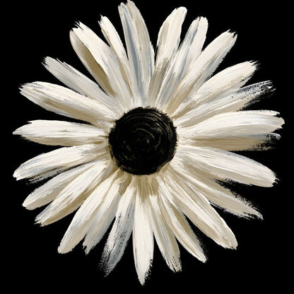 Solitary Pale Petals Against The Void Canvas Wall Art