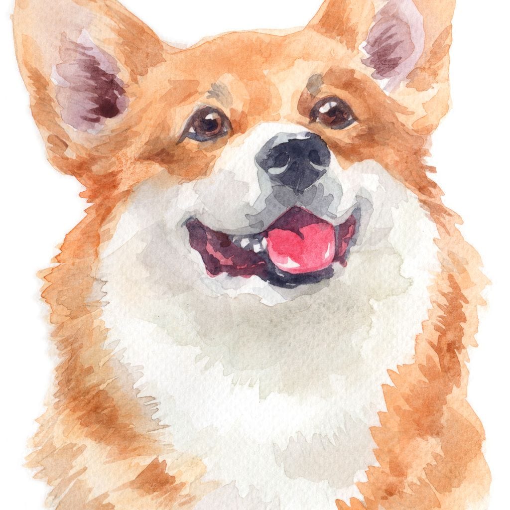 Welsh Corgi Canvas Wall Art