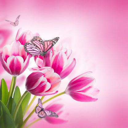 Bouquet of Pink Tulips & Butterflies Canvas Wall Art