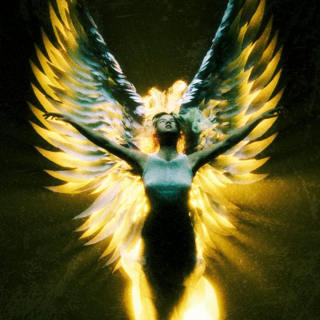 Angel Wings in Awe - G'n Art Canvas Wall Art