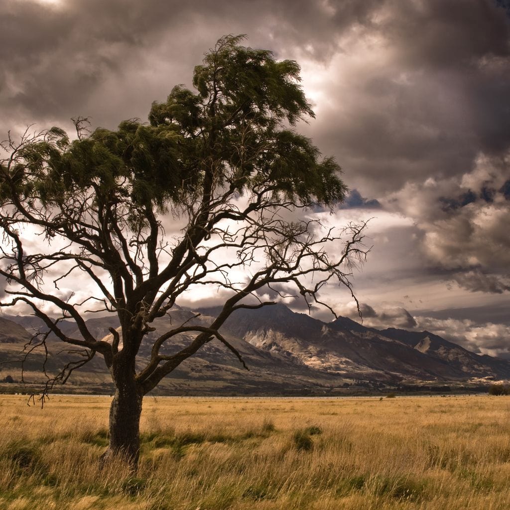 Stormy Afternoon Canvas Wall Art