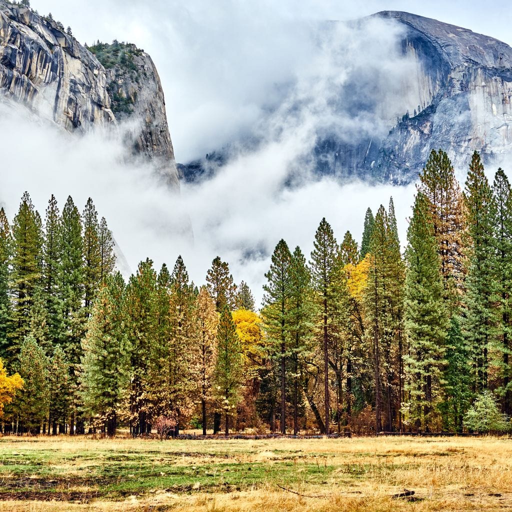 Yosemite National Park Canvas Wall Art