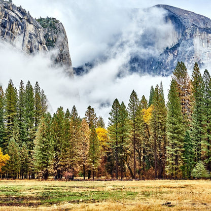 Yosemite National Park Canvas Wall Art