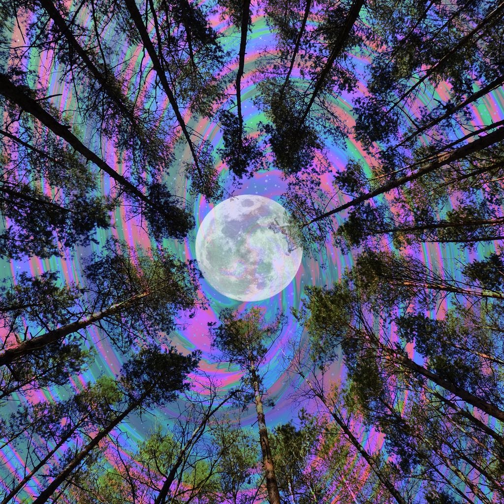 Moon Swirl Canvas Wall Art
