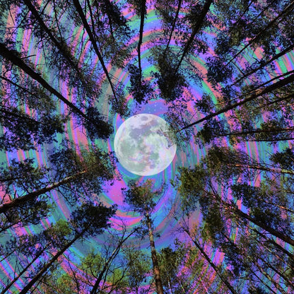 Moon Swirl Canvas Wall Art