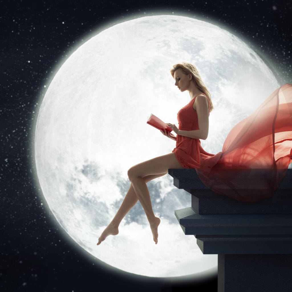 Moon Dreamer Canvas Wall Art