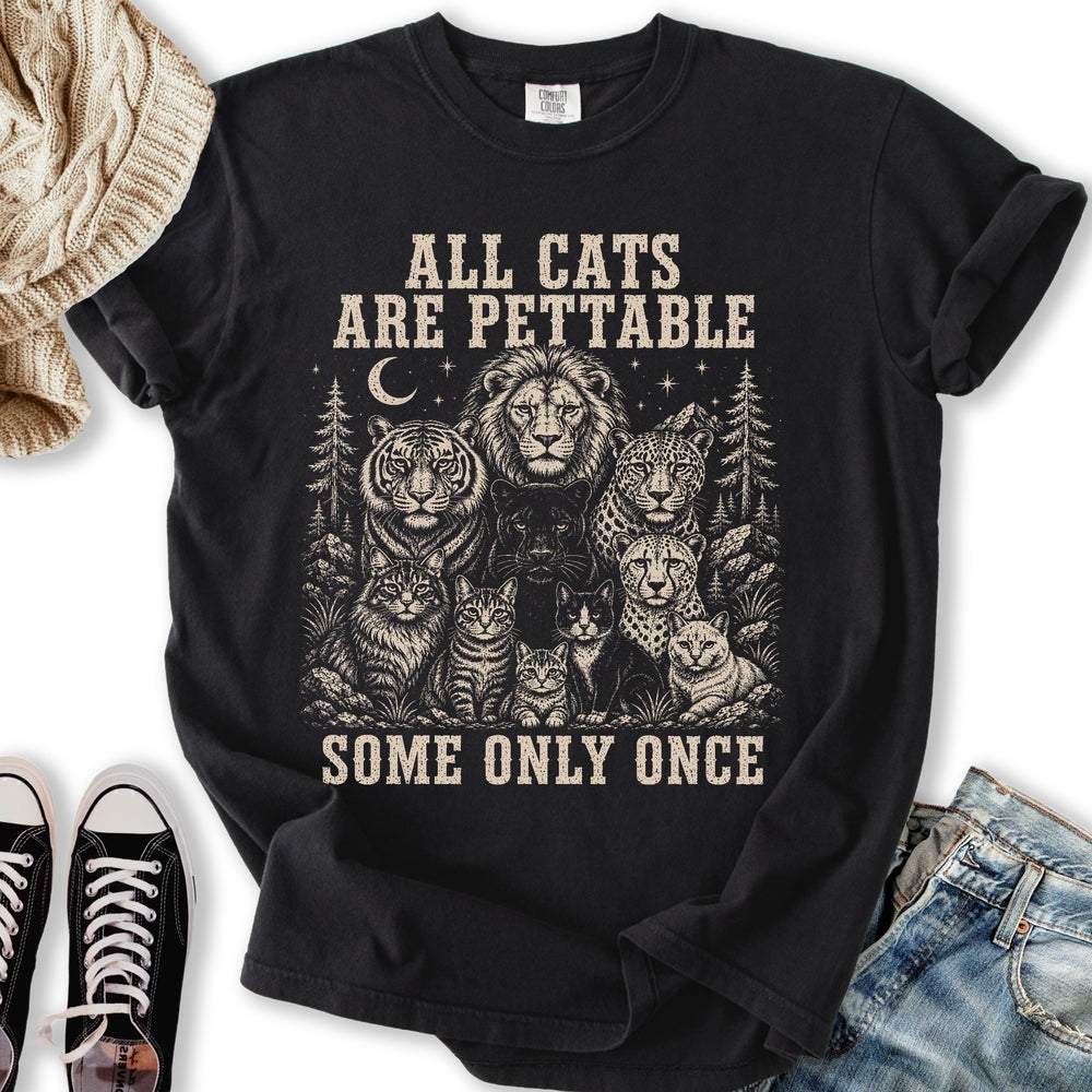All Cats Are Pettable II Relaxed Tee