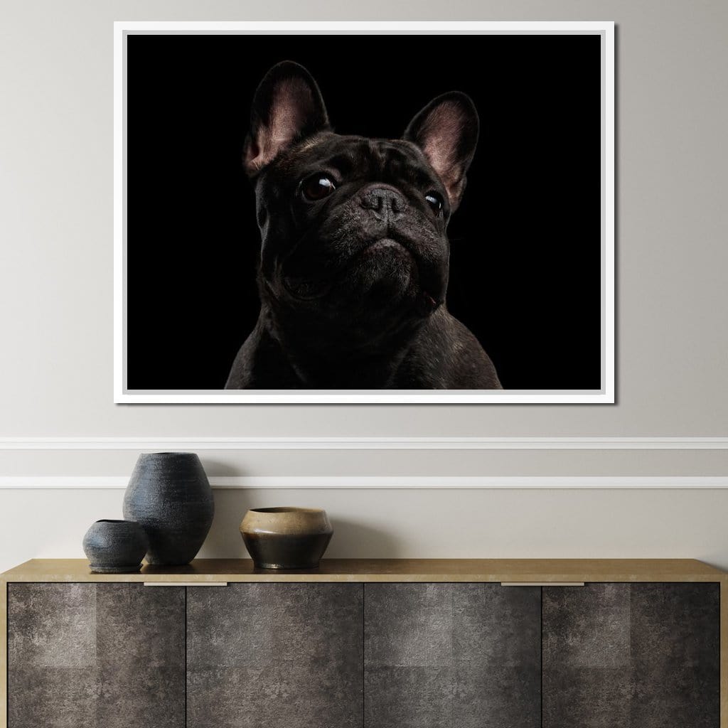 Black French Bulldog Canvas Wall Art