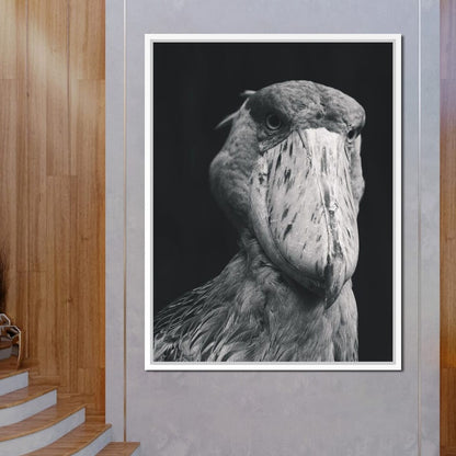 Black and White Shoebill Stork Canvas Wall Art