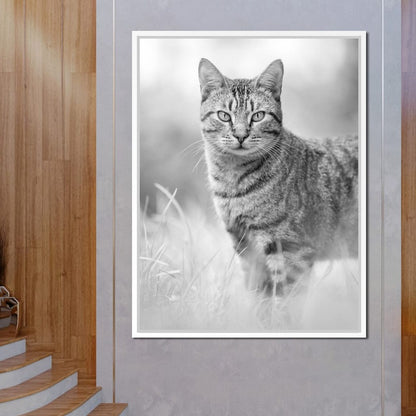 Black & White Kitty Cat Canvas Wall Art