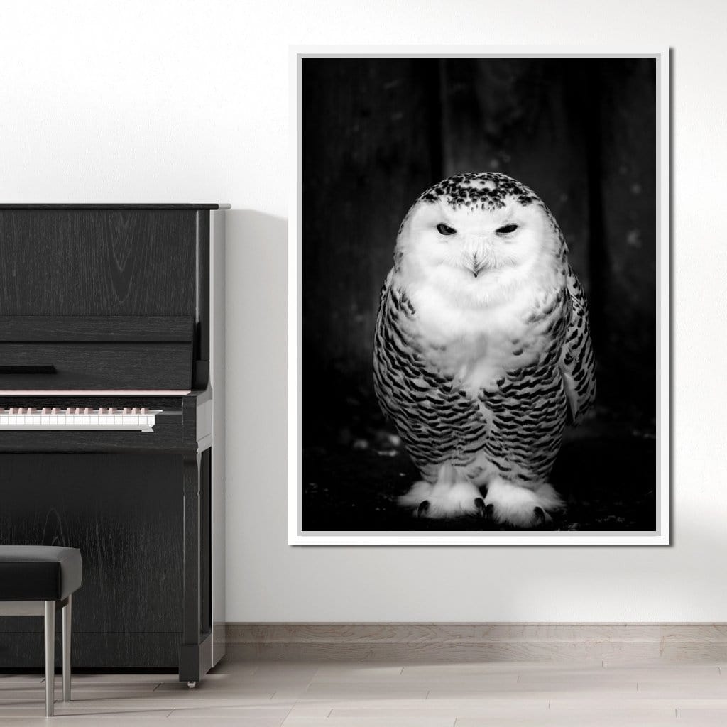 Black and White Snowy Owl Canvas Wall Art