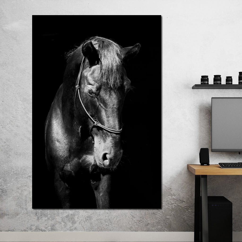 Black & White Horse Head Canvas Wall Art