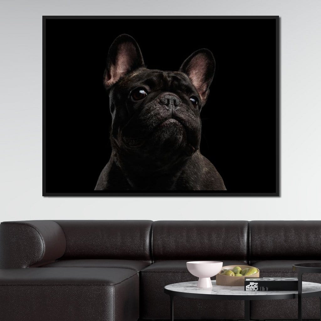 Black French Bulldog Canvas Wall Art