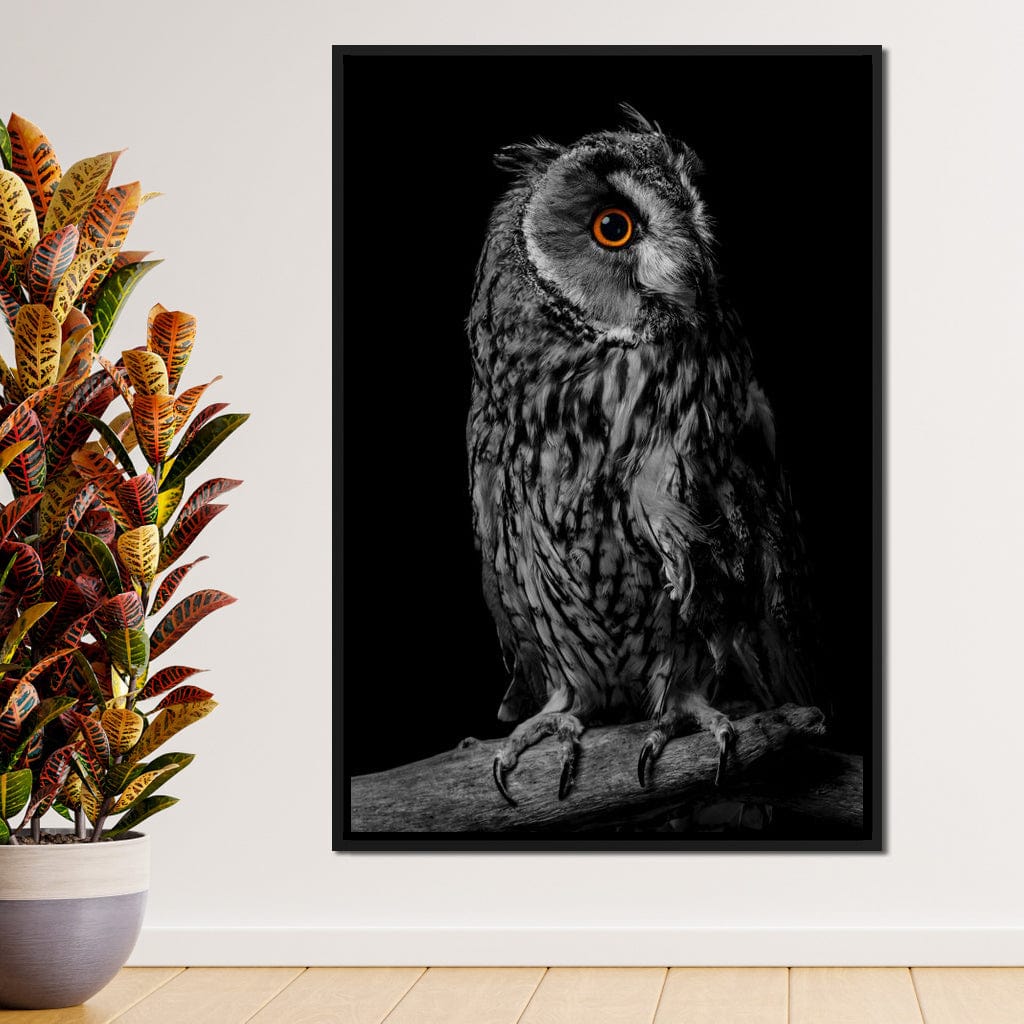 Black & White Owl Canvas Wall Art