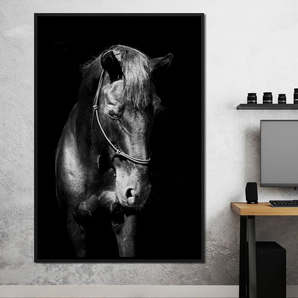 Black & White Horse Head Canvas Wall Art