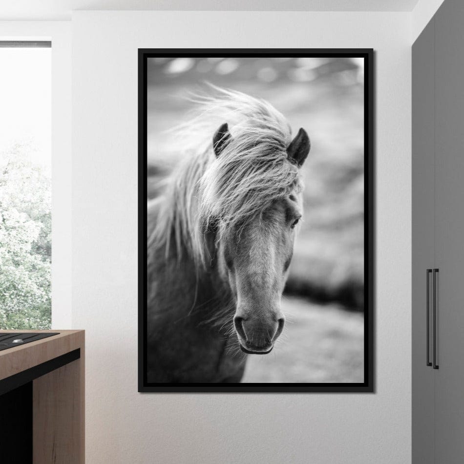 Icelandic Horse Canvas Wall Art