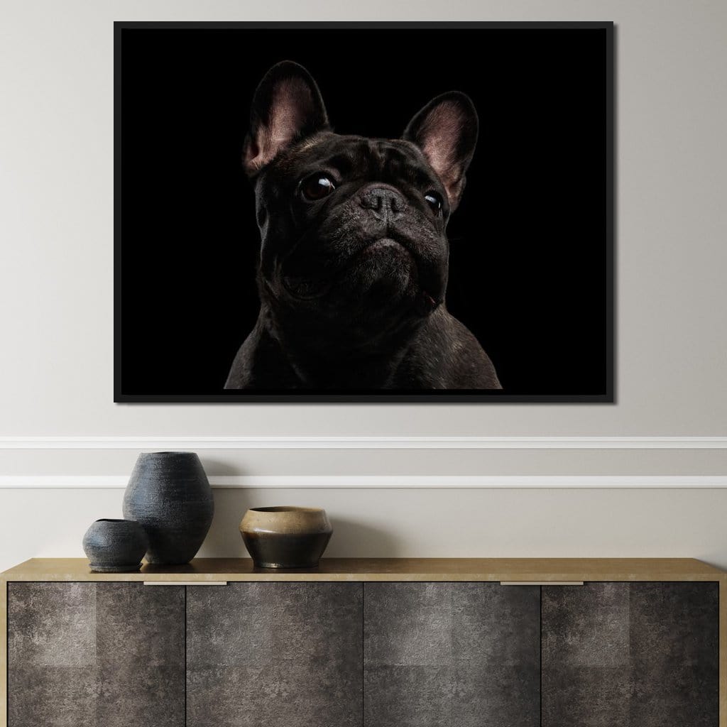 Black French Bulldog Canvas Wall Art