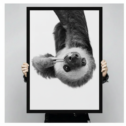 Upside-Down Sloth Black & White Canvas Wall Art