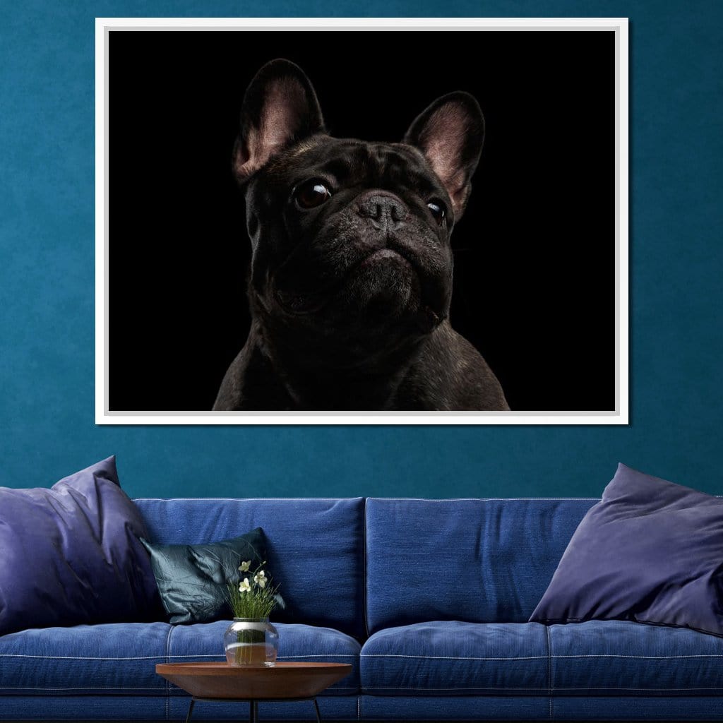 Black French Bulldog Canvas Wall Art