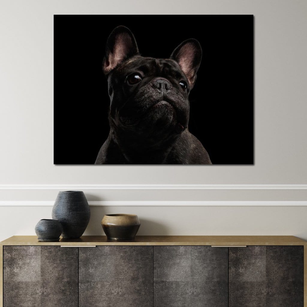 Black French Bulldog Canvas Wall Art