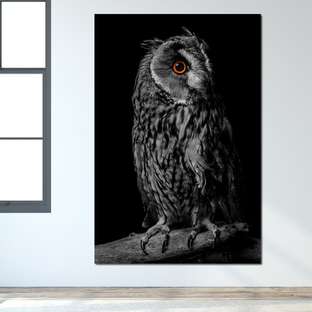 Black & White Owl Canvas Wall Art