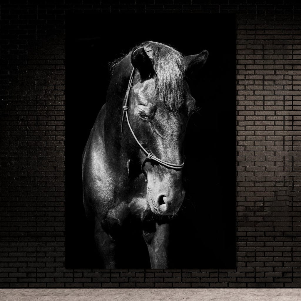 Black & White Horse Head Canvas Wall Art