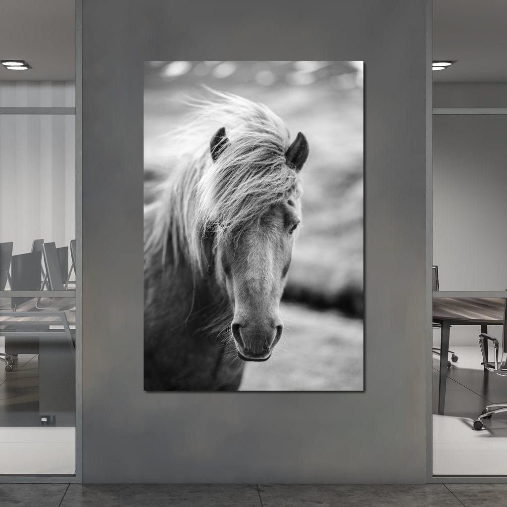 Icelandic Horse Canvas Wall Art