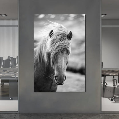 Icelandic Horse Canvas Wall Art