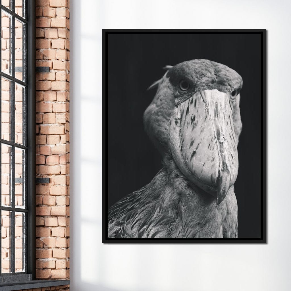 Black and White Shoebill Stork Canvas Wall Art