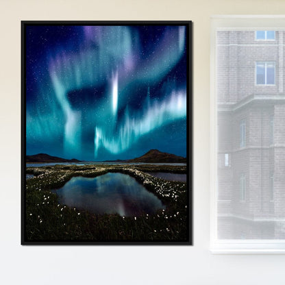 Enlightened Night Canvas Wall Art