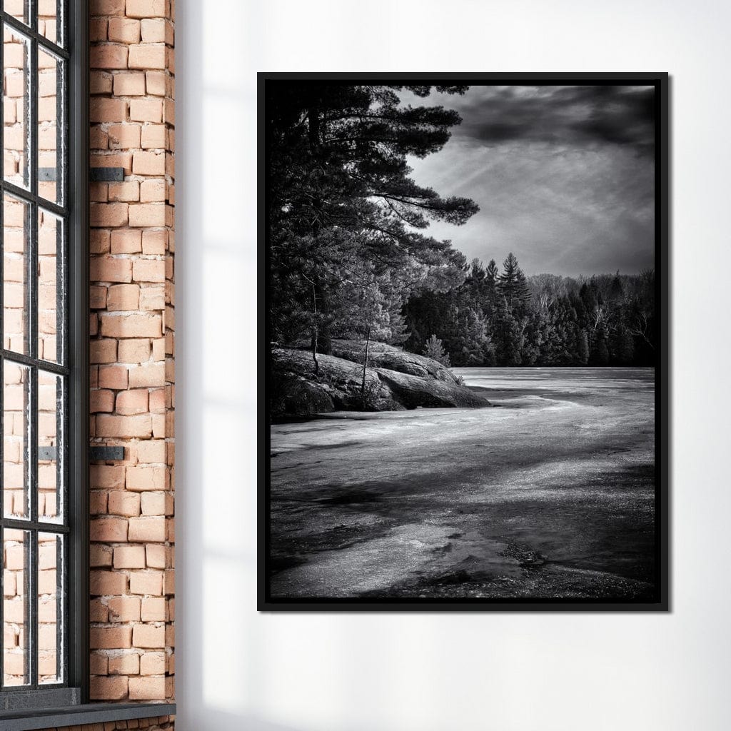 Gullwing Lake Canvas Wall Art