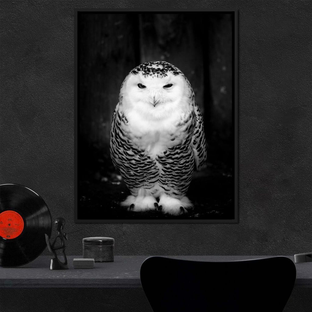 Black and White Snowy Owl Canvas Wall Art