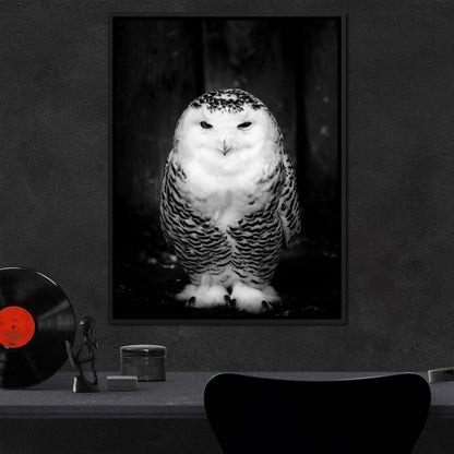 Black and White Snowy Owl Canvas Wall Art