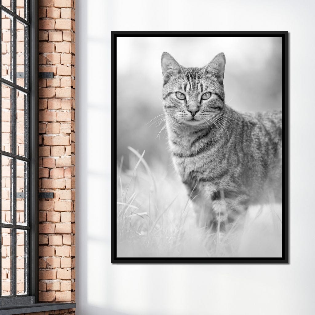 Black & White Kitty Cat Canvas Wall Art