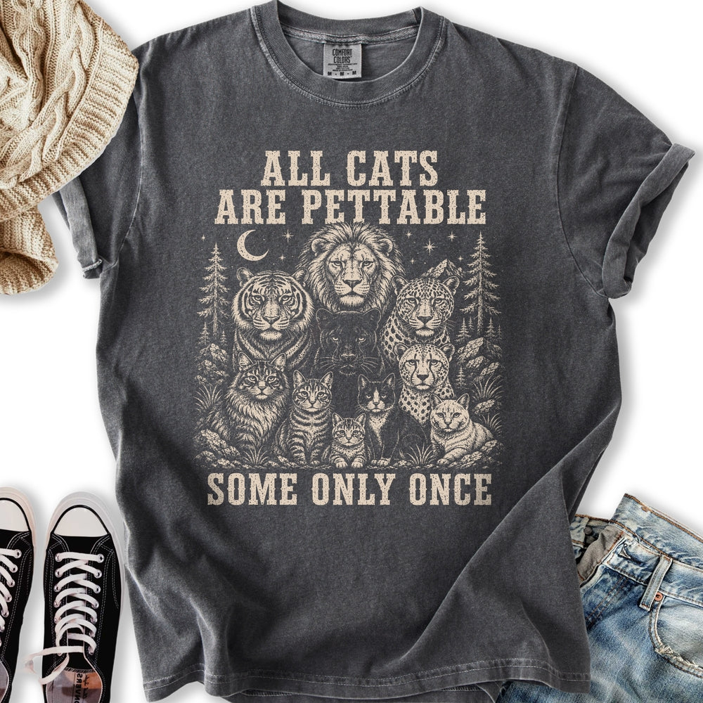 All Cats Are Pettable II Relaxed Tee
