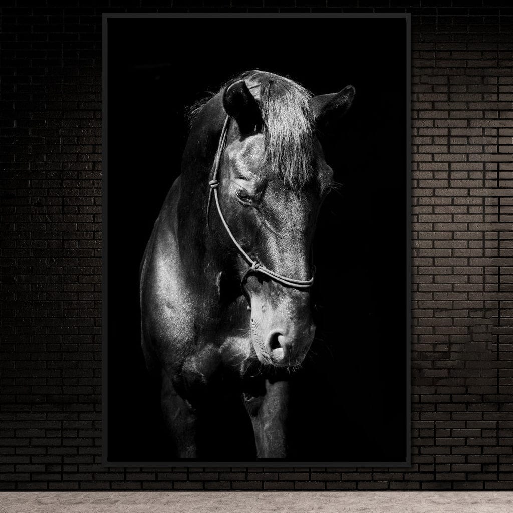 Black & White Horse Head Canvas Wall Art