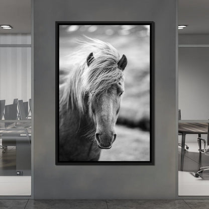 Icelandic Horse Canvas Wall Art