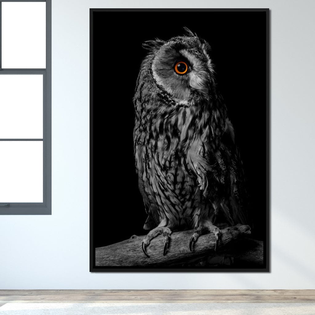 Black & White Owl Canvas Wall Art