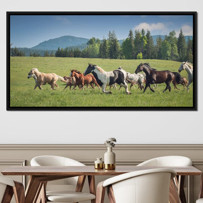 Horses of all Colors Running in a Pasture Canvas Wall Art