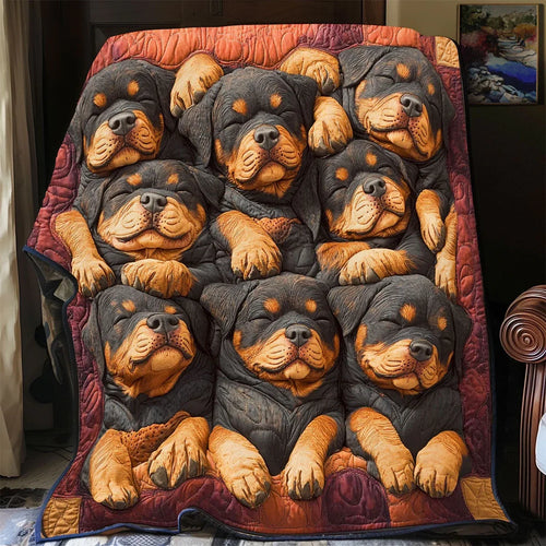 Cozy Rott Quilt Blanket