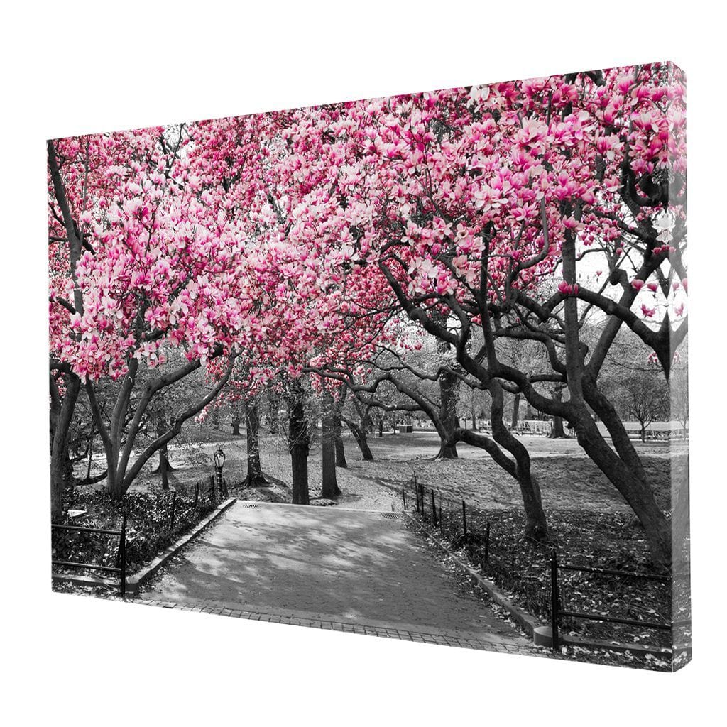 Pink Blossoms in Black and White Canvas Wall Art