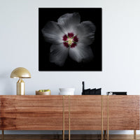 Backyard Flowers Color Version Canvas Wall Art